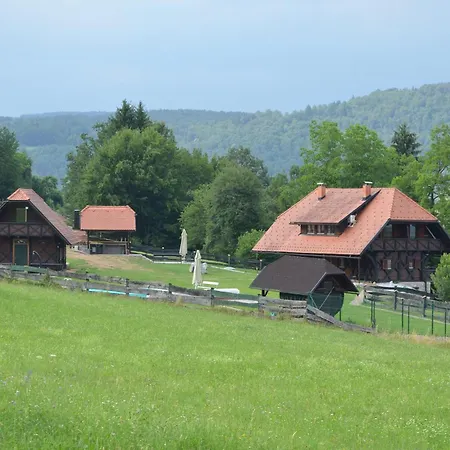 Dom wakacyjny Posestvo Brinje Gradicek