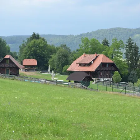 Posestvo Brinje Holiday home